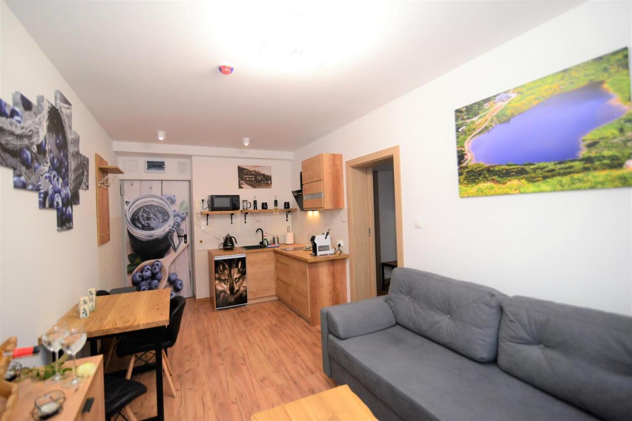 Apartament De Luxe Emily Karpacz Extérieur photo